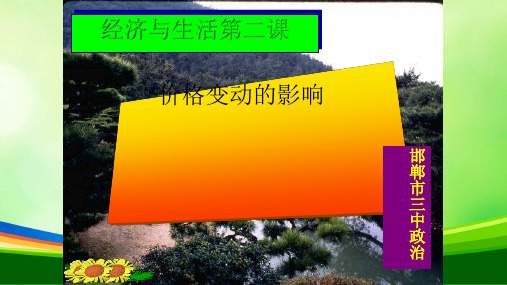 价格变动的影响教学(ppt 19页)