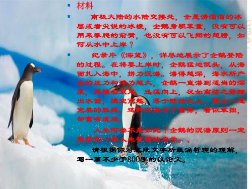 企鹅沉潜作文讲评
