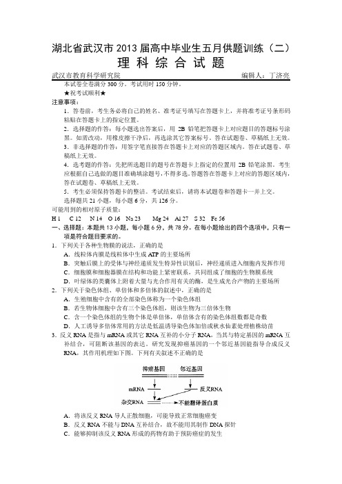 湖北省武汉市2013届高三5月供题训练(二)理科综合试题