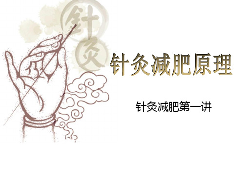 针灸减肥原理