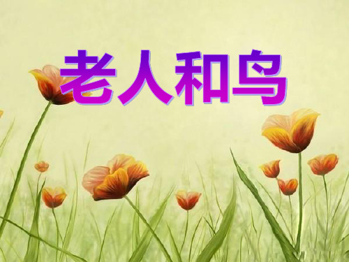 冀教版四年级语文下册《老人和鸟》PPT课件(5篇)