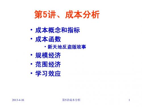 5讲经济学成本分析