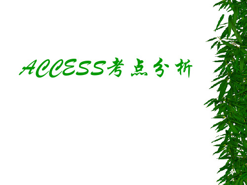全国计算机等级考试二级ACCESS考点分析2
