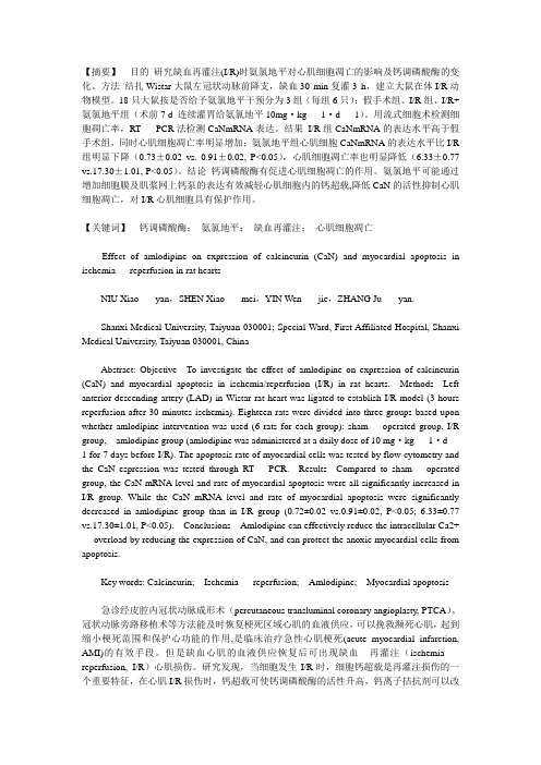 氨氯地平对钙调磷酸酶在心肌细胞凋亡中的作用