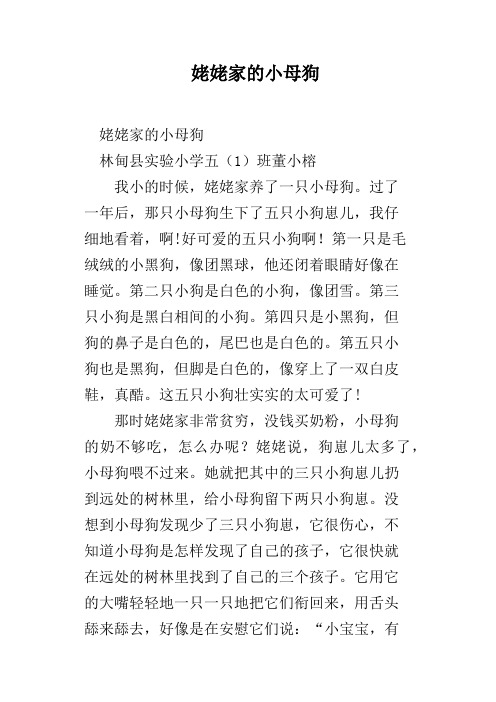 姥姥家的小母狗