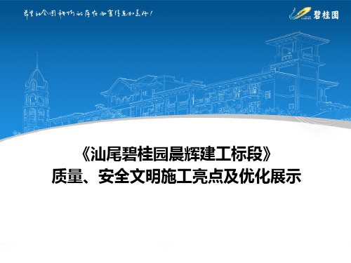汕尾碧桂园晨辉标段工艺优化做法