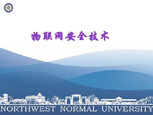 第4章物联网网络层安全