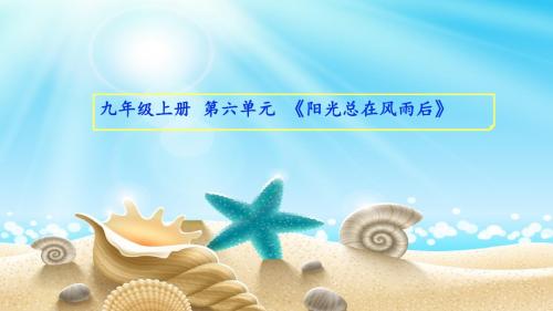 湘艺版初中音乐 阳光总在风雨后 课件