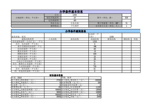 福娃幼儿园办学条件基本信息及建筑信息和财务信息报表
