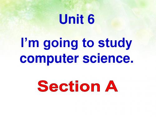 2013八年级英语上册unit_6_I'm_going_to_study_computer_science全