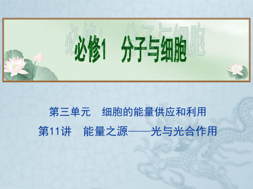 高考生物总复习拔高精讲课件必修1 第3单元 细胞的能量供应和利用 第11讲