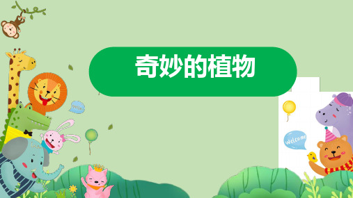 科学大象版四下《奇妙的植物》同步课件