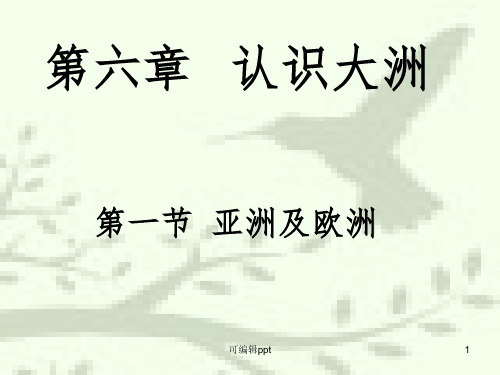 亚洲及欧洲ppt课件