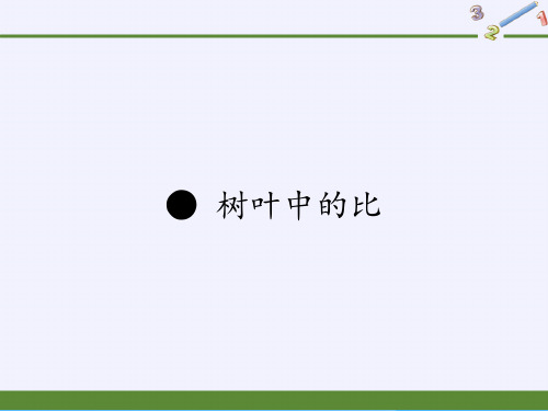 六年级数学上册课件-树叶中的比(共14张PPT)ppt
