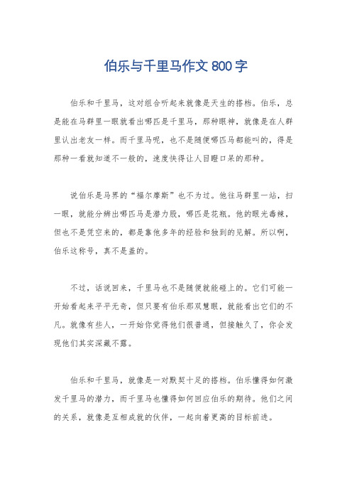 伯乐与千里马作文800字