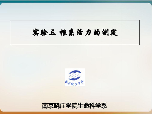 根系活力的测定