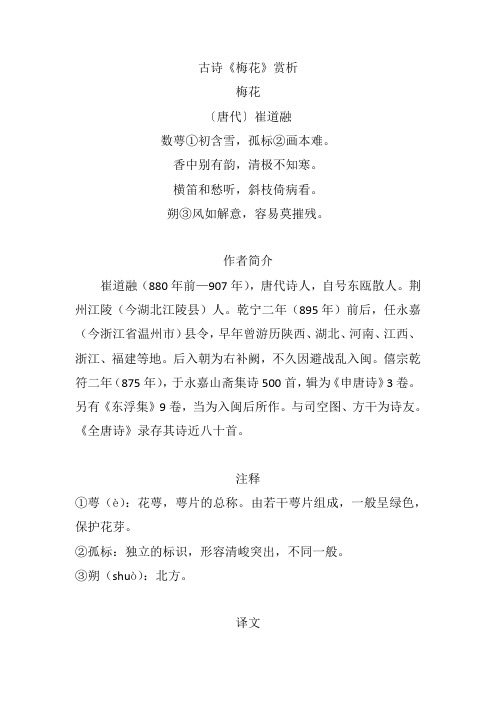 古诗《梅花》赏析