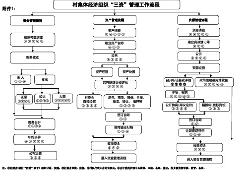 村集体经济组织三资管理工作流程