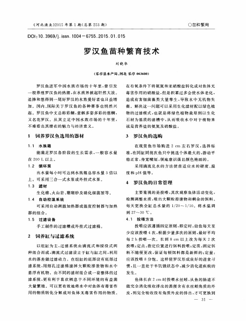 罗汉鱼苗种繁育技术