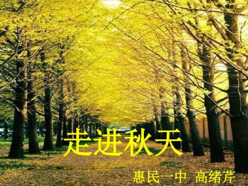 走进秋天ppt