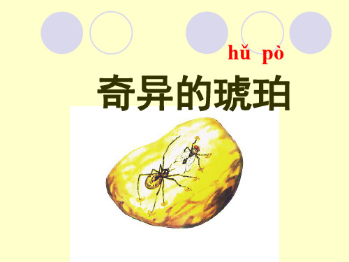 五年级下册语文课件-3.7《奇异的琥珀》语文A版 (共13张PPT)
