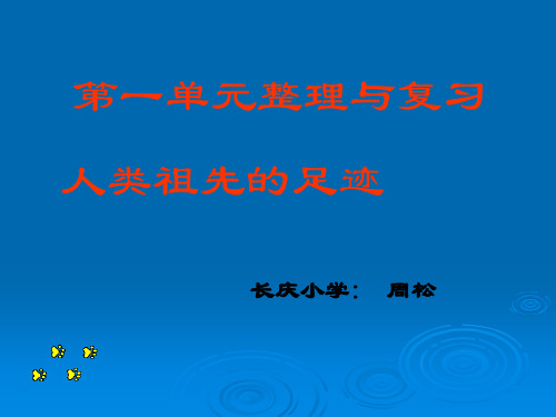 人类的起源与进化PPT课件