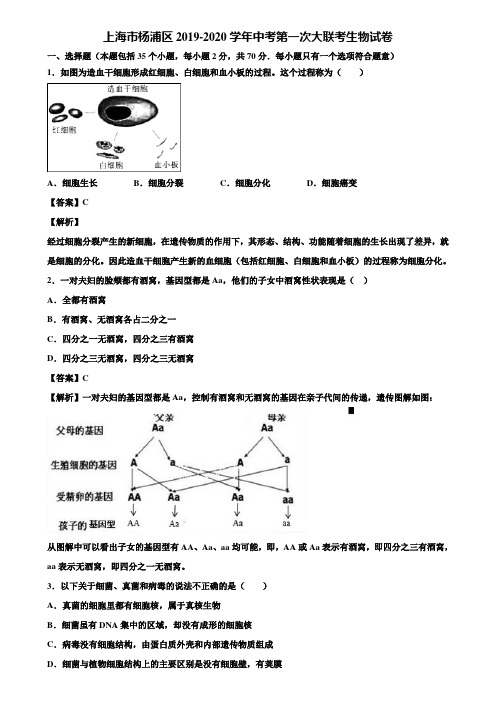 上海市杨浦区2019-2020学年中考第一次大联考生物试卷含解析