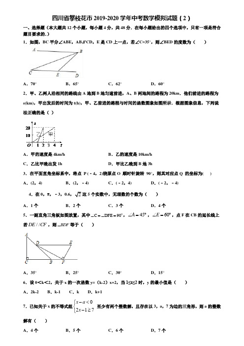 四川省攀枝花市2019-2020学年中考数学模拟试题(2)含解析
