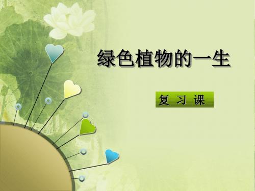 被子植物的一生复习ppt