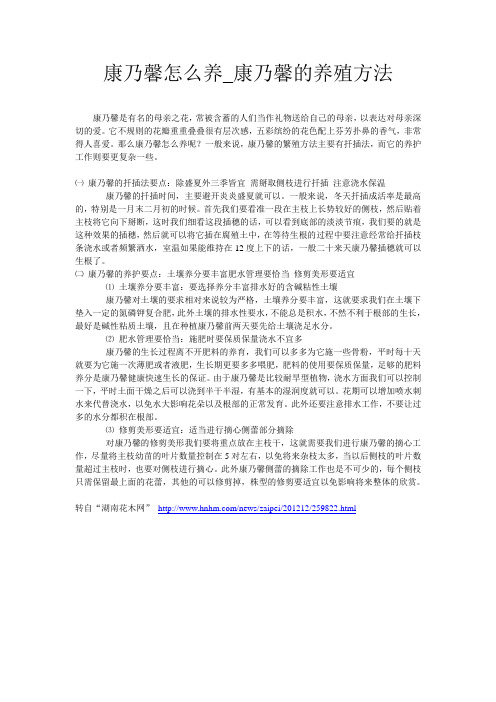 康乃馨怎么养 康乃馨栽培