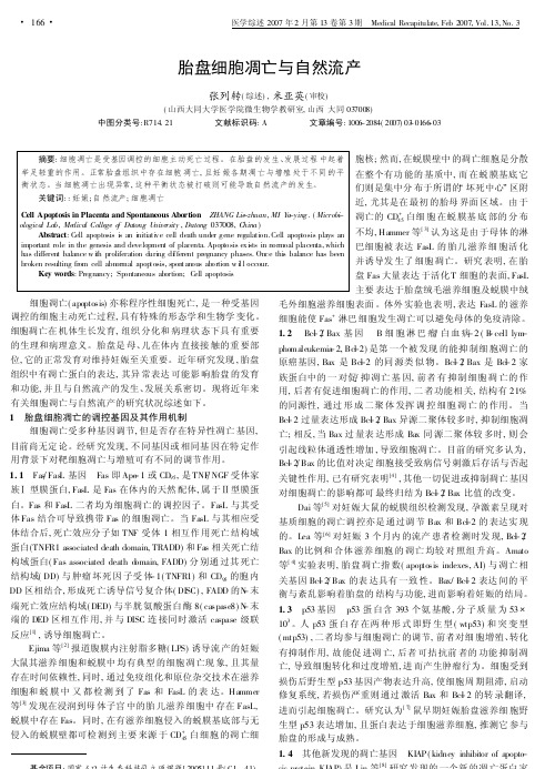 胎盘细胞凋亡与自然流产
