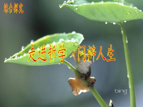 综合探究  走进哲学  问辩人生