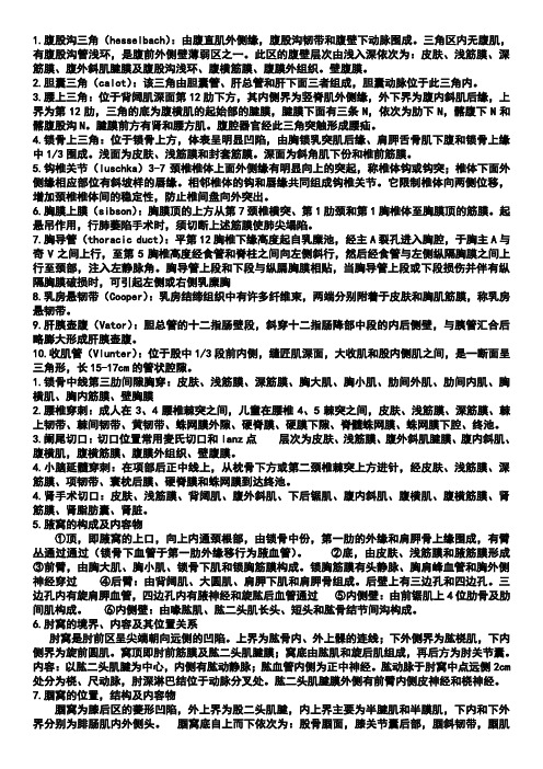 局部解剖学重点