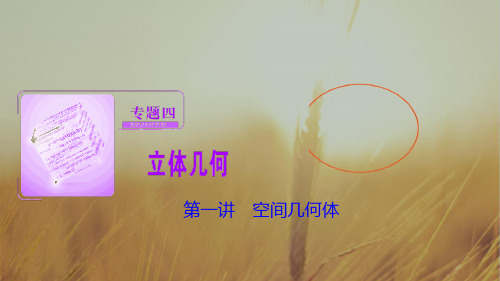 2018届高三数学理高考二轮复习书讲解课件第一部分 专题四 第一讲 空间几何体 精品