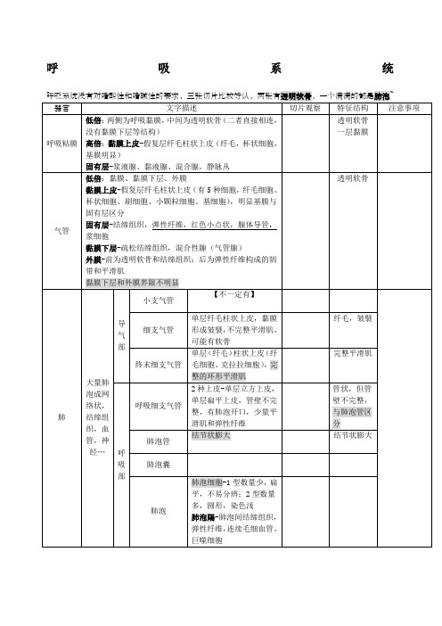 组织胚胎学切片考试复习资料