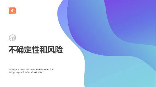 经济学基础不确定性和风险ppt(2020最新版)
