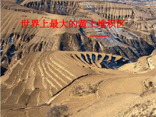 人教人教(八下)地理《第三节 世界最大的黄土堆积区——黄土高原》课件