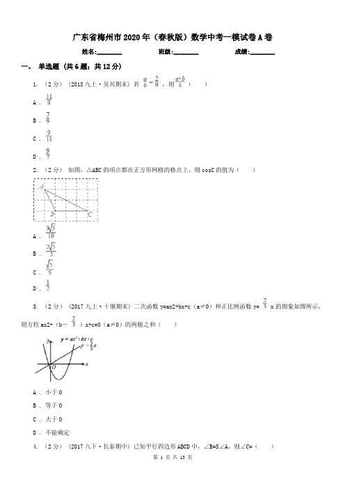 广东省梅州市2020年(春秋版)数学中考一模试卷A卷