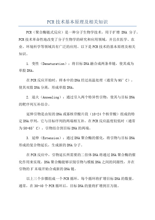 PCR技术基本原理及相关知识