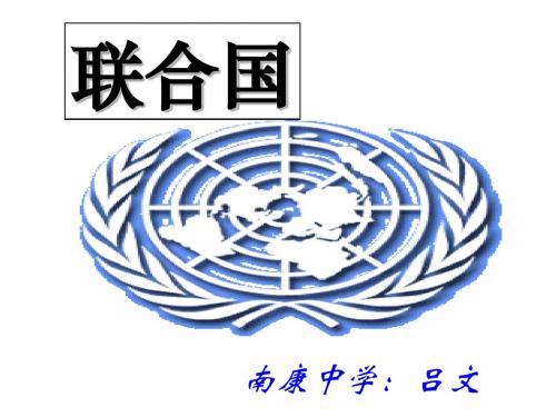 高三政治联合国2