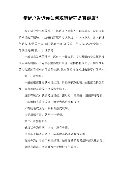养猪户告诉你如何观察猪群是否健康？