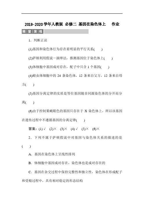 2019-2020学年人教版 必修二 基因在染色体上   作业