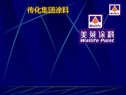 某集团涂料公司战略分析课件(PPT 42张)