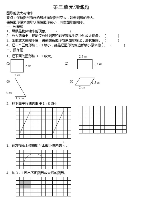 六年级数学下册第三单元图形的放大与缩小训练题