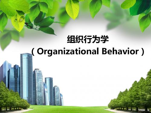 组织行为学教学导论PPT