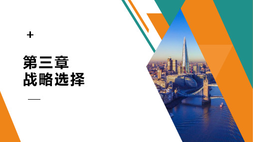 注册会计师公司战略第三章战略选择第一节总体战略