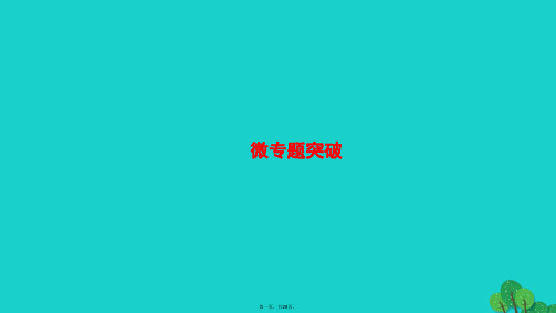 高中生物第4章光合作用和细胞呼吸微专题突破课件苏教版必修1