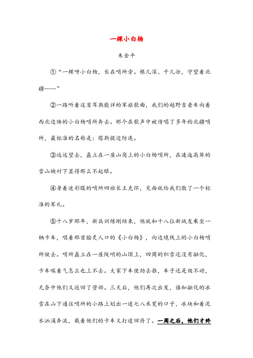 一棵小白杨999(初中阅读)