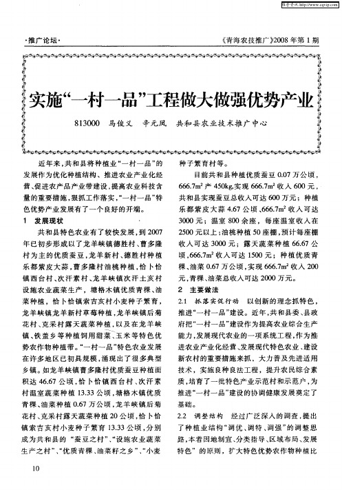 实施“一村一品”工程做大做强优势产业