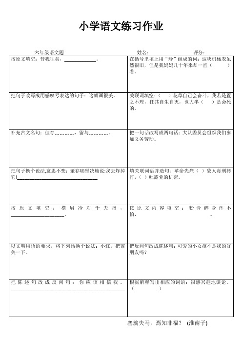 小学六年级语文课堂延伸训练 (100)